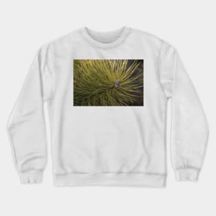 Pine Crewneck Sweatshirt